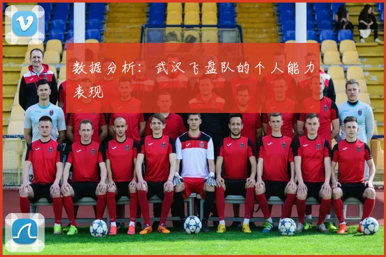数据分析：武汉飞盘队的个人能力表现