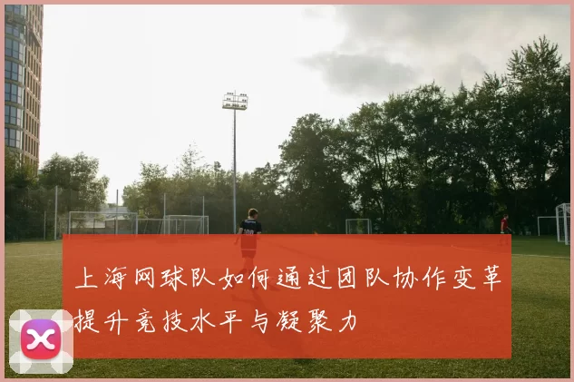 上海网球队如何通过团队协作变革提升竞技水平与凝聚力