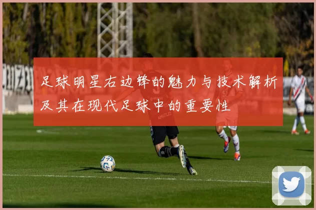 足球明星右边锋的魅力与技术解析及其在现代足球中的重要性