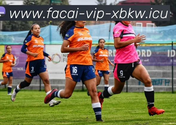 爱游戏体育注册APP 封面图